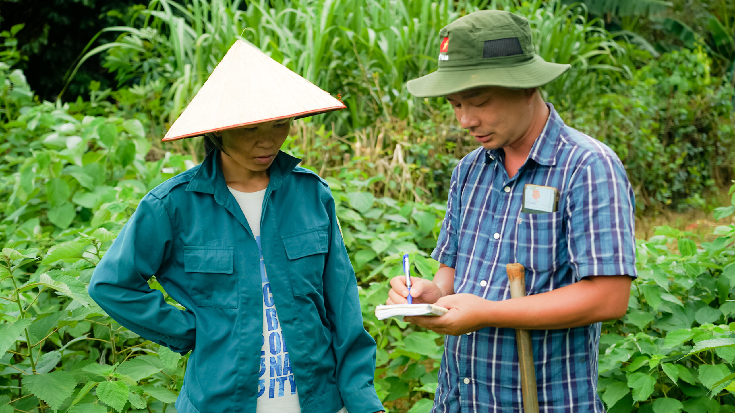 cán bộ nông nghiệp An Phước